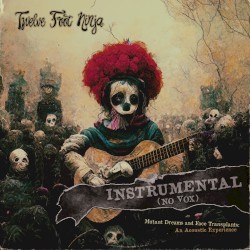 Mutant Dreams and Face Transplants: An Acoustic Experience (instrumental)