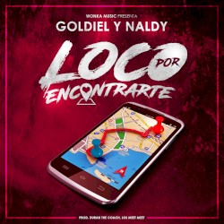 Loco por encontrarte