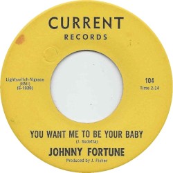 You Want Me To Be Your Baby / Don Stole My Girl