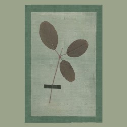 Upward Eyes / Kindred