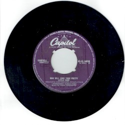 Who Will Shoe Your Pretty Little Foot