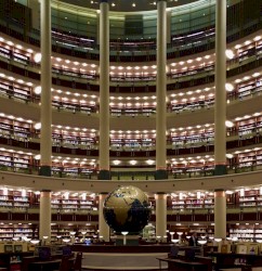 Past Imperfect / Future Tense