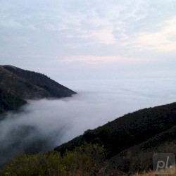 Pfeiffer Mists