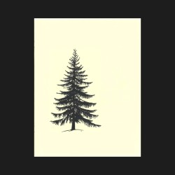 My Forest Is Within