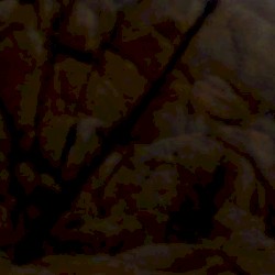 heart of the machine