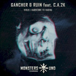 Virus / Hardcore to Vagina