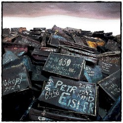 The Color of Darkness