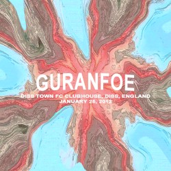 2013-01-25 Diss Town FC Clubhouse, Diss, England