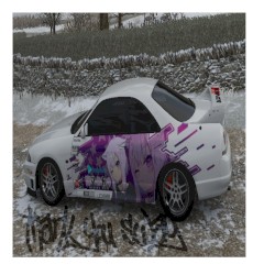 I think my whip is suicidal