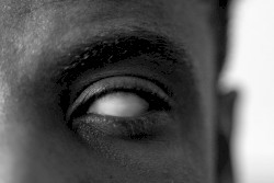 Piercing the Veil of Perception