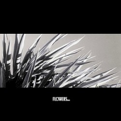 Flowers and Barricades