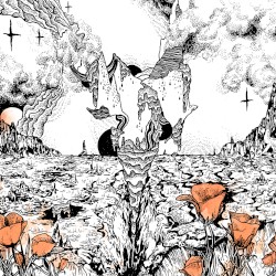 Last of the Acid Cowboys