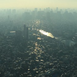 A Vague Song of Regret