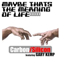 Maybe That's the Meaning of Life