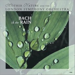 Bach in the Rain