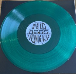 Message From Jah / Check This Out