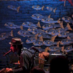 2009-02-28: Swimming With the Fishes: Flamingo Cantina, Austin, TX, USA