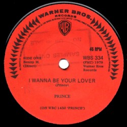 I Wanna Be Your Lover