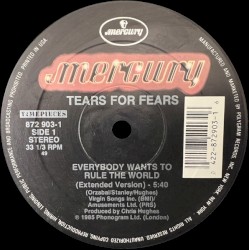 Everybody Wants to Rule the World / Shout