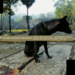 Only Wanting to Melt Beautifully Away Is It a Lack of Contentment That Stirs Affection for Those Things Said to Be as of Yet Unseen