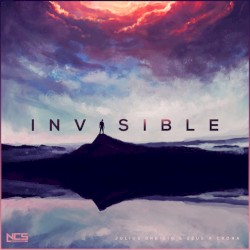 Invisible