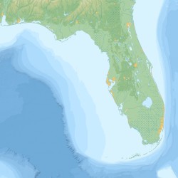 Peninsula Selects, Vol. 10