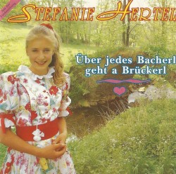 Über jedes Bacherl geht a Brückerl