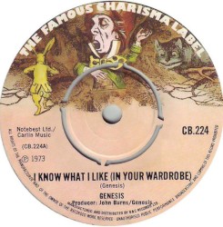 I Know What I Like (In Your Wardrobe)