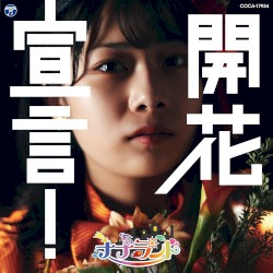 開花宣言！