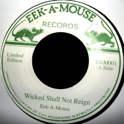 Wicked Shall Not Reign