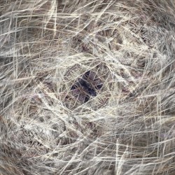 Storm of Kronos Phaze III