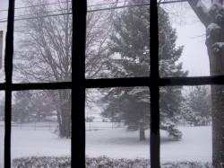 Christmas Song & Snowing