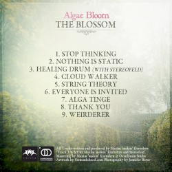The Blossom