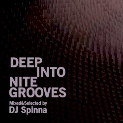 Deep Into Nite Grooves