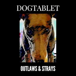 Outlaws & Strays