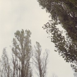 F o r g o t t e n M e m o r i e s