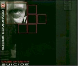 Cause of Death: Suicide