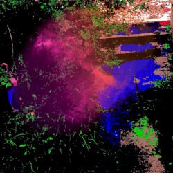 12 Steps off the Path