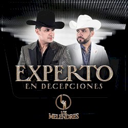 Experto en decepciones