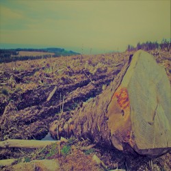 Tortured Gazing Into the Middle Distance