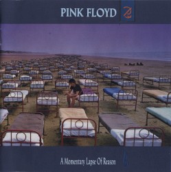 A Momentary Lapse of Reason
