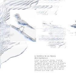 Lo sintético de los pájaros