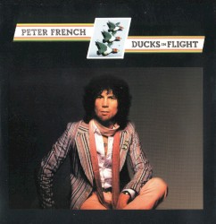 Ducks in Flight