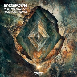 Metagalaxy (Polygrams remix)