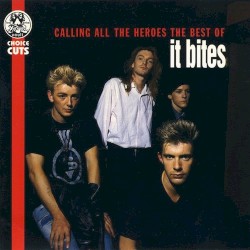 Calling All the Heroes – The Best of It Bites