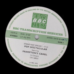 Stereo Pop Special-31