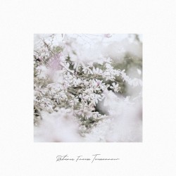 Return From Tomorrow