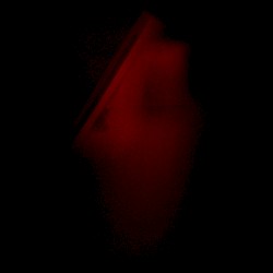 i dont know where i am in life and im too afraid to ask part 2