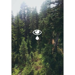Waterfall Eyes