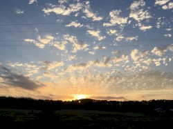 Hats Off to Sinister Dexter